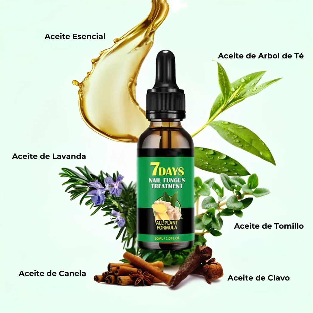 Encabezado