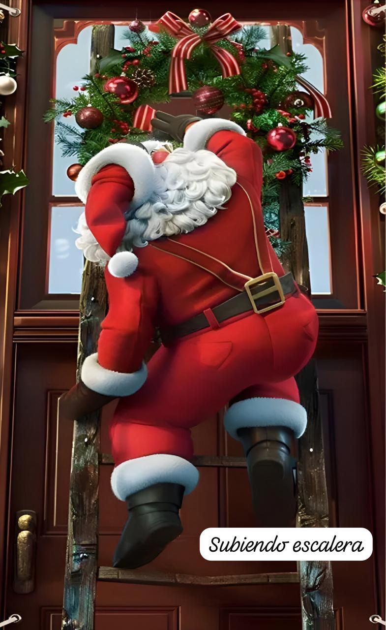 Funda Navideña de puerta