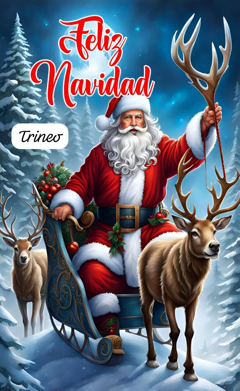 Funda Navideña de puerta