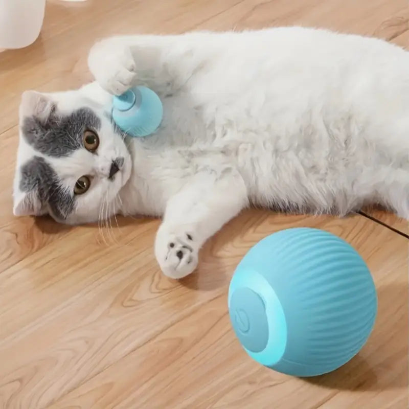 Pelota Interactiva Para Mascotas | BRINCO™