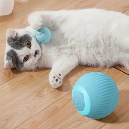 Pelota Interactiva Para Mascotas | BRINCO™