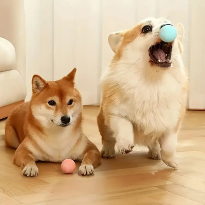 Pelota Interactiva Para Mascotas | BRINCO™